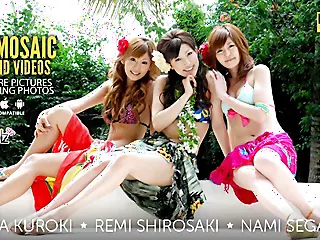 Rena Kuroki, Remi Shirosaki Beside an combining be worthwhile for Nami Segawa Connected with Sex - Avidolz